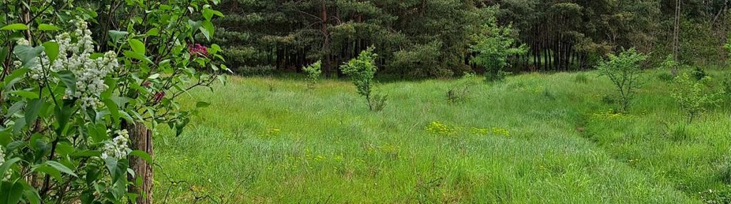 Działka siedliskowa na sprzedaż w antoniewie