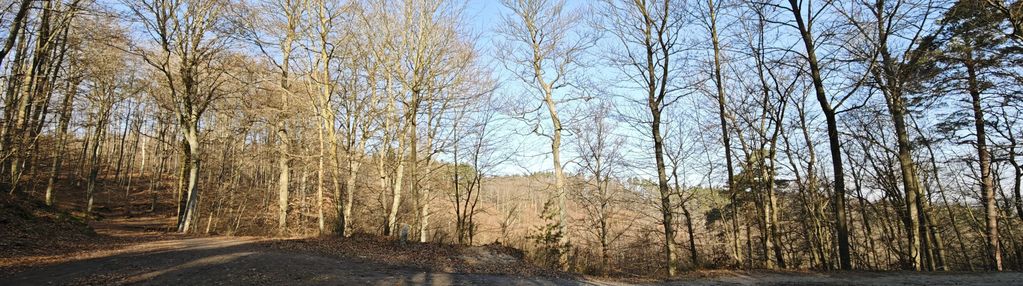 Atrakcyjna działka przy lesie z mpzp - gdynia