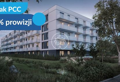 Minimalny metraż, maksymalna efektywność - aviator