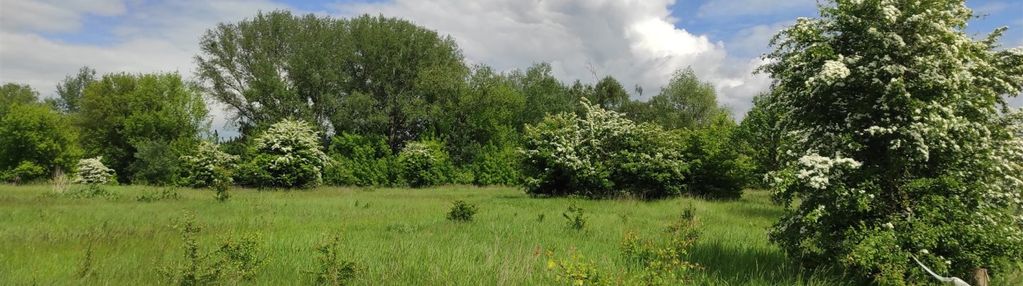 Działka nad wkrą - pomiechowo