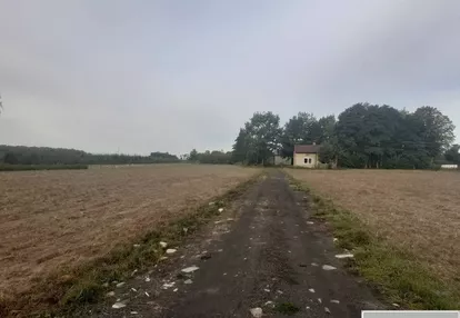 Działka na sprzedaż 3000m2