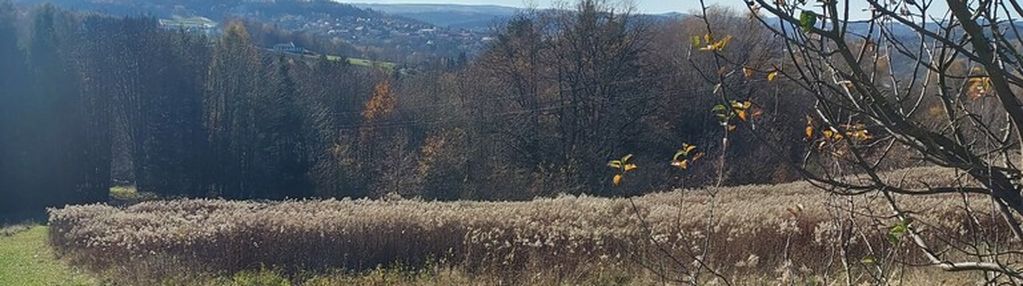 Działka rolna południowy stok, ciężkowice 75 ar !