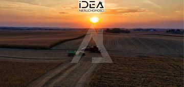 Działka budowlana z warunkami zabudowy w cielu!