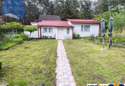 Cicha działka z domkiem w otulinie lasu koło rzeki