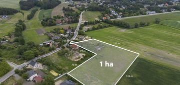Hektarowa działka rolno-budowlana na sprzedaż!