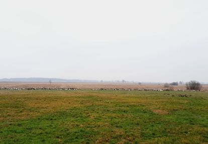 Sąsiadem biebrzański park narodowy