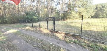 Działka w środku lasu