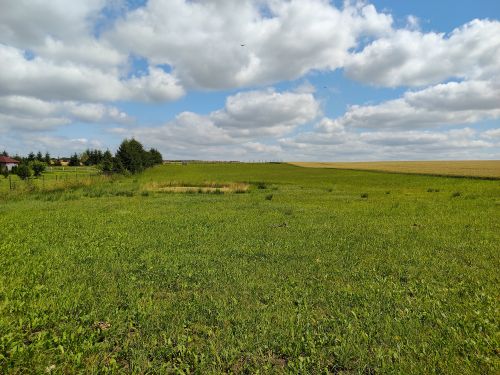 Działka budowlana ze stawem, mpzp, blisko media
