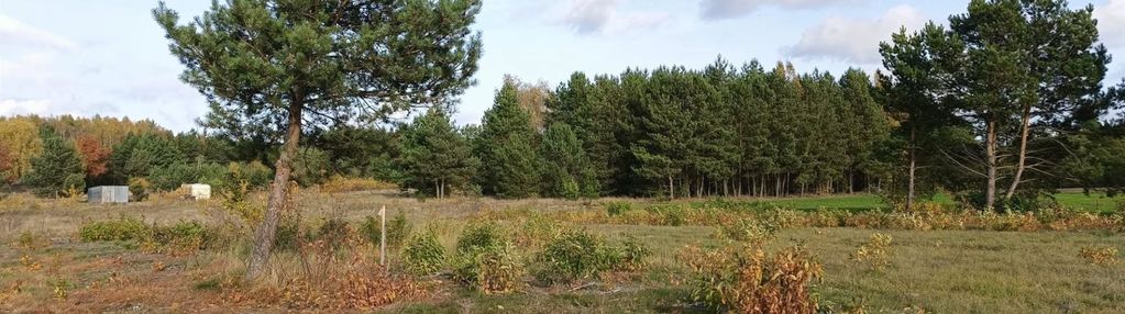 Tylko u nas! działka, godzimierz