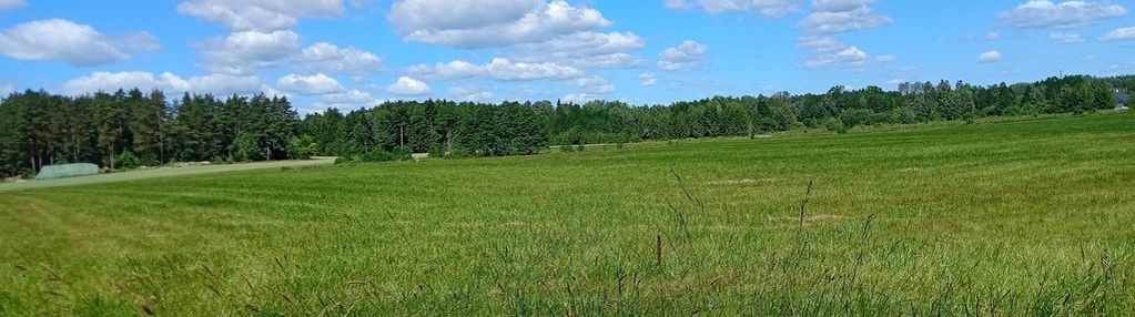 Wśród łąk i lasów.