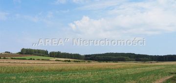 Działka leśna, wierzchlesie, 7501m2,