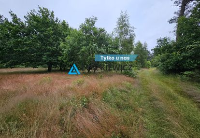 Działka leśna