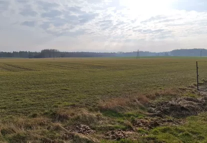 Działka na sprzedaż 1000m2