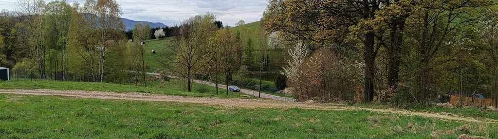 Działka w cichej uliczce, przy lesie