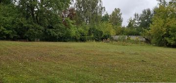 Działka w pięknej okolicy - złotokłos!