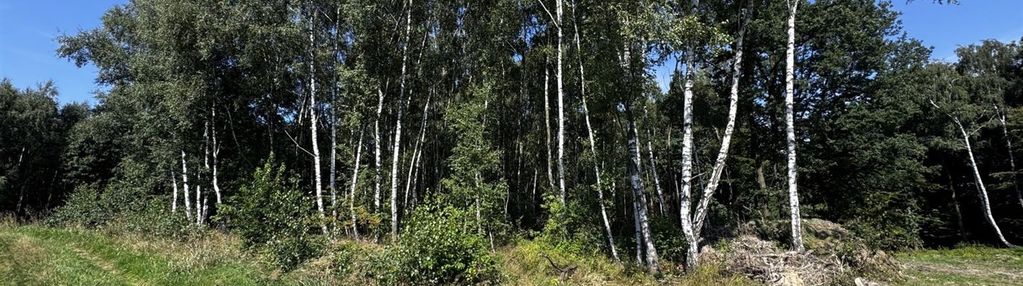 Działka 54 ary – kokoszyce, wodzisław śląski, las