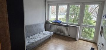 Kawalerka na włochach