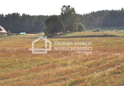 Działka w borku nad jeziorem gowidlińskim