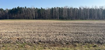 Działka budowlana w ojrzanowie