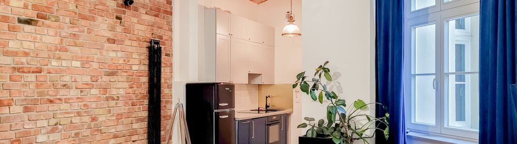 Stylowa kawalerka w centrum poznania