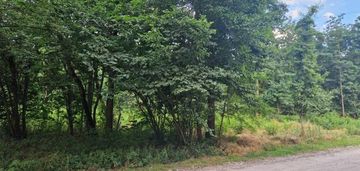 Teren zabudowy mieszkaniowej jednorodzinnej;