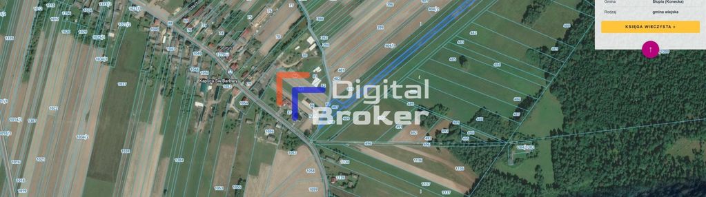 ⭐️48 km od kielc ⭐ 8881 m² ⭐️dzialka rolna⭐️