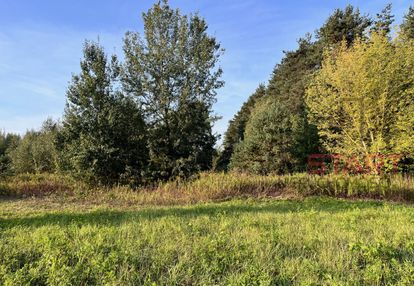 Działka rolna 2,84ha w nosach, koło ojrzanowa.