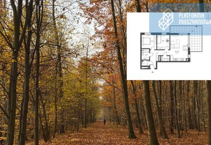 Trzy pokoje, 24 m2 taras, z widokiem na las