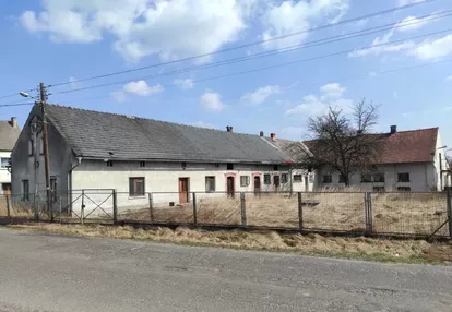 Dom na sprzedaż 350m2