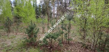 Piękna działka otoczona lasem 2 316 m2, czarny las