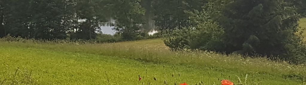 Kukowo, bargłów kościelny, jezioro,