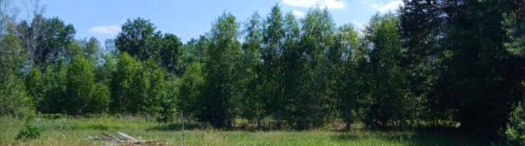Działka budowlana - las, cisza, natura