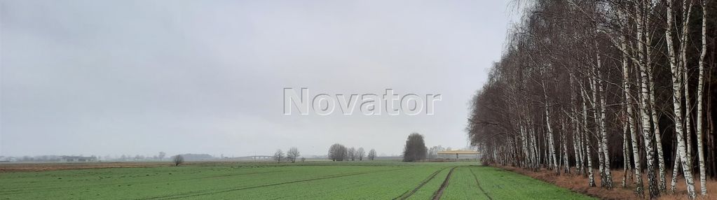 Działka rolna o pow. 3002m2 w łachowie gm. szubin