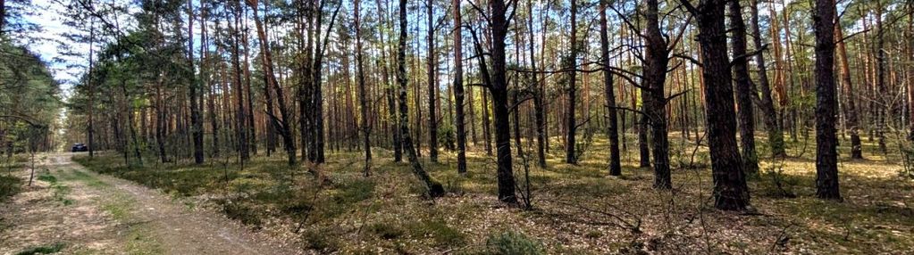 Aktualny mpzp - funkcja mieszkalna rezydencjonalna