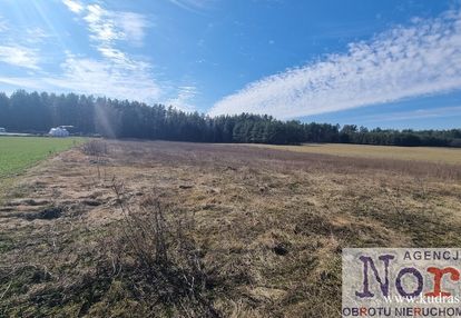 Działka z lasem w augustowie