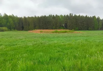 Działka na sprzedaż 1000m2