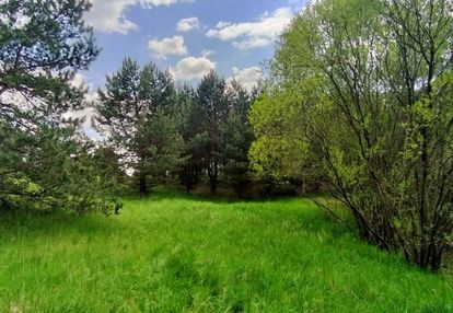 Piękna działka ze stawem, bory tucholskie