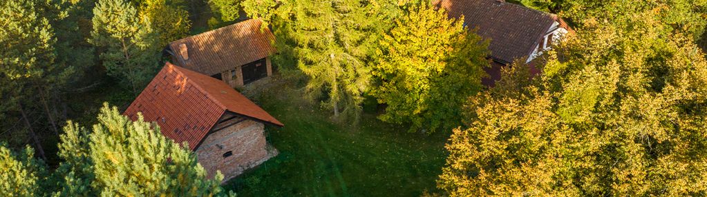 Siedlisko w otulinie lasu