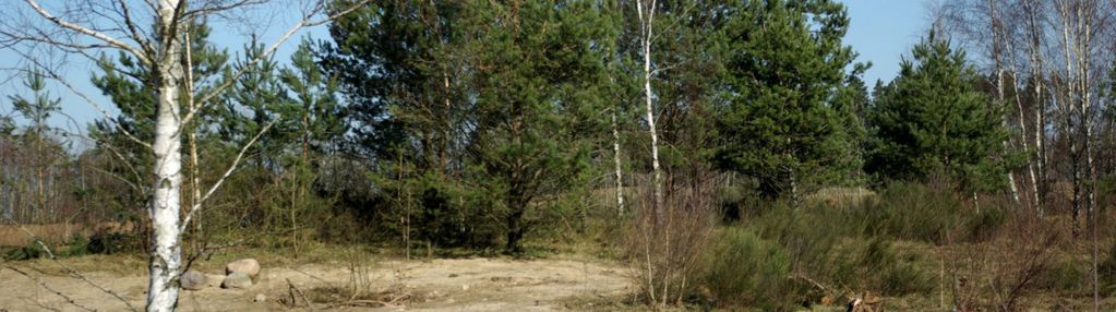 Działka rekreacyjna w gołczewie
