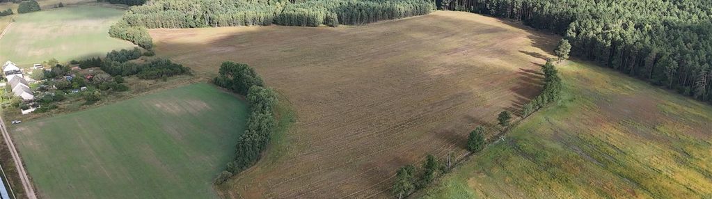 Duża działka rolna blisko trzcianki