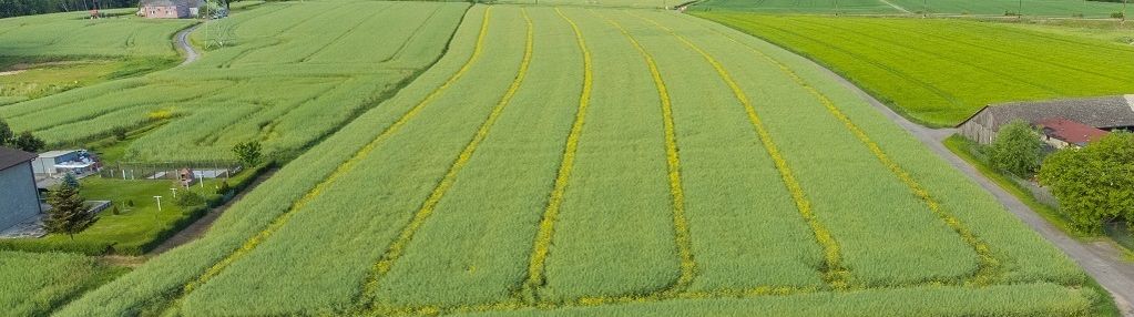 Na sprzedaż działki budowlane kończyce wielkie