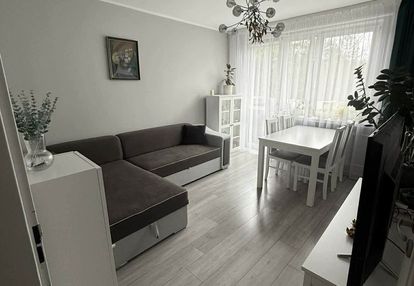 48 m² z widokiem na las | 3 pokoje