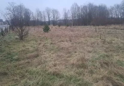 Działka na sprzedaż 7000m2