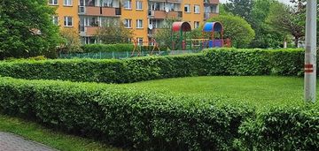 2 pokojowe mieszkanie do wynajęcia