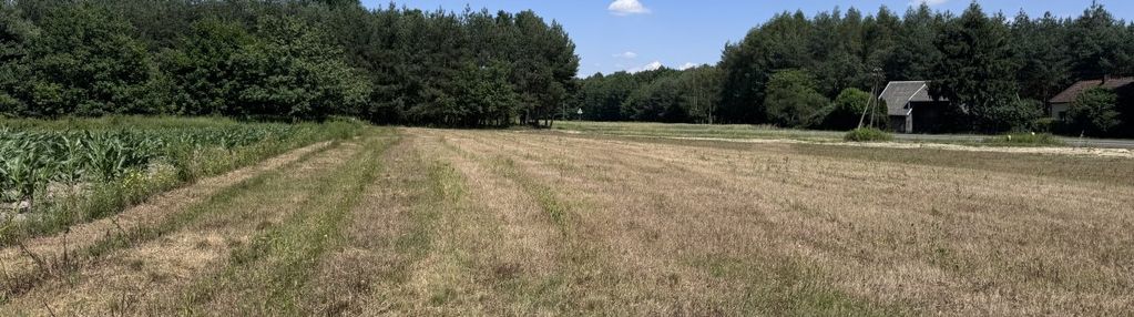 Spokojna okolica - wielkie możliwości