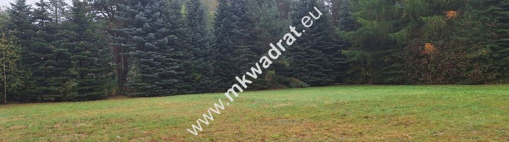 Najpiekniesze działki w żelechowie