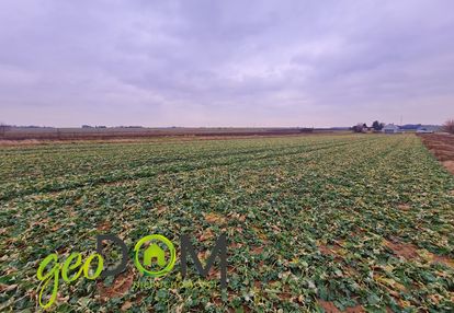 Działka budowlana w pliszczynie...