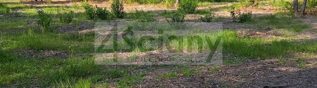 Działka leśna pod zabudowę rezydencyjną