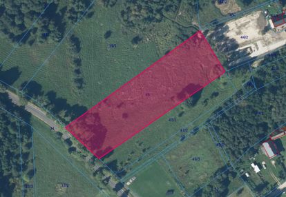 Działka rolna wśród zieleni