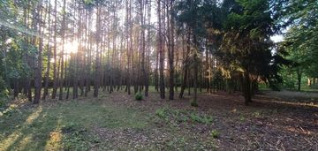 Sulejówek, piękna dzialka z drzewami